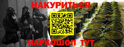 герыч Ливны
